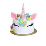 DIY Rainbow Unicorn Cake Story Kit